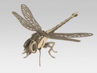 Insect 3D Puzzles